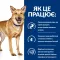 Hill's Prescription Diet i/d Сухий корм для собак догляд за травленням, з куркою, 5 кг — Фото 12