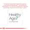 Royal Canin Ageing 11+ Сухий корм для літніх котів віком від 11 років, 2 кг — Фото 11