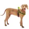 Ferplast SPORT DOG P L YELLOW Шлея, нейлон — Фото 16