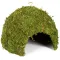 Схованка з моху Repti-Zoo Natural Mossy Dome L 22x17 (ERS25L) — Фото 9