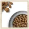 Сухий корм DOG CHOW Active Adult 1+ для дорослих собак з підвищеною активністю з куркою 2,5 кг — Фото 21
