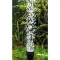 Розпилювач з LED освітленням Hobby Bubble Air Spot colour & moon (00677) — Фото 16