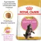 Сухий корм Royal Canin MAINECOON KITTEN для кошенят породи Мейн-кун 2 кг — Фото 7