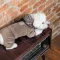 Костюм Pet Fashion «Soft» для собак, розмір M, коричневий (лімітована серія) — Фото 11