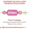 Сухий корм Royal Canin MAINECOON KITTEN для кошенят породи Мейн-кун 2 кг — Фото 10