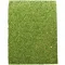 Фон моховий Repti-Zoo Natural Moss Back & Bottom 50x25см 2шт. (NCM5025) — Фото 6
