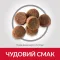 Hill’s Science Plan Puppy Large Breed Сухий корм для цуценят великих порід, з куркою, 14,5 кг — Фото 8