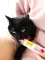 Паста GimCat Every Day Malt-Soft Paste Extra для котів, виведення шерсті зі шлунку, 50 г — Фото 11
