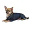 Комбінезон Pet Fashion «Jeans» для собак, розмір М, джинс — Фото 3