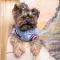 Бомбер Pet Fashion «Spike» для собак, розмір XL, блакитний — Фото 7