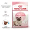 Сухий корм Royal Canin MOTHER&BABYCAT для кошенят всіх порід 0,4 кг — Фото 9