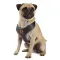 Ferplast NIKITA P XS HARNESS BLACK Шлея,нейлон, — Фото 13