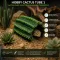 Декорація укриття кактус Hobby Cactus Tube 1 13,5×8,5×7 см для тераріуму (36510) — Фото 8