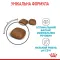 Сухий корм Royal Canin URINARY CARE для котів всіх порід 8кг +2 кг — Фото 12