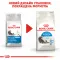 Сухий корм Royal Canin INDOOR LONGHAIR для котів всіх порід 2 кг — Фото 10