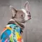 Борцівка Pet Fashion «Cool» для собак, розмір M, з принтом — Фото 9