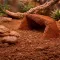 Глиняний порошок для тераріумного субстрату Hobby Terrano Clay Powder Red 1,3 кг (33210) — Фото 17