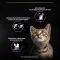 Вологий корм PRO PLAN Baby Kitten Healthy Start для кошенят після відлучення від матері мус з куркою 85 г — Фото 17