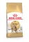 Сухий корм Royal Canin BENGAL ADULT для котів породи Бенгал 2 кг — Фото 6