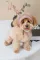 Шапка Pet Fashion Valley для собак розмір S — Фото 11