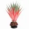 Штучна рослина Hobby Terra Succulent 1 14 см (37730) для тераріуму, акватераріуму та палюдаріуму — Фото 3