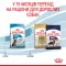 Сухий корм Royal Canin MAXI PUPPY для цуценят великих порід 4 кг — Фото 11