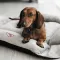 Лежак-трансформер Pet Fashion «Simon» для собак, 54х66х20 см, сірий/чорний — Фото 10