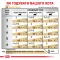 Дієтичний вологий корм Royal Canin URINARY S/O CAT (шматочки у соусі) для котів 85 г — Фото 8