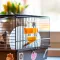 Ferplast CAGE CRICETI 9 PIRATES BLACKx2 Клітка для хом'яків з декором — Фото 16