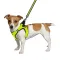 Шлея для собак Bronzedog Mesh Vest 3D сітка лимонна 2XS — Фото 7