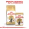 Сухий корм Royal Canin BRITISH SHORTHAIR ADULT для котів породи Британська короткошерста кішка 0,4 кг — Фото 10