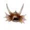 Декорація череп дракона Hobby Dragon Skull L 28,5×21,5×19,5см для акваріума і тераріума (32076) — Фото 10