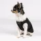 Борцівка Pet Fashion «FBI» для собак, розмір XS2, чорна — Фото 12