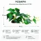 Штучна рослина Hobby Alocasia 2 40 × 20 см (37718) для тераріуму, акватераріуму та палюдаріуму — Фото 4
