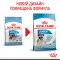 Сухий корм Royal Canin GIANT JUNIOR для дорослих собак гігантських порід 15 кг — Фото 8