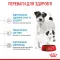 Сухий корм Royal Canin MINI STARTER для дорослих собак малих порід 8 кг — Фото 14
