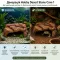 Декорація кам’яне укриття Hobby Desert Stone Cave 1 21×15,5×9,5 см для тераріуму та акваріума (36500) — Фото 8