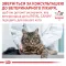 Дієтичний вологий корм Royal Canin SATIETY WEIGHT MANAGEMENT CAT для котів 85 г — Фото 15