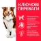 Hill’s Science Plan Mature Adult 7+ Medium Breed Сухий корм для зрілих собак середніх порід від 7 років, з куркою, 14 кг — Фото 5
