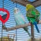 Ferplast CAGE PIANO 6 Клітка для папуг чорна — Фото 18