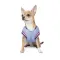 Бомбер Pet Fashion «Spike» для собак, розмір XL, блакитний — Фото 6