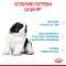 Сухий корм Royal Canin GIANT PUPPY для цуценят гігантських порід 15 кг — Фото 11