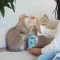 Ласощі для котів GimCat Nutri Pockets Fish Лосось 60 г — Фото 8