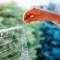 Ferplast CAT NET XL Сітка для безпеки котів — Фото 18