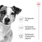 Сухий корм Royal Canin MINI ADULT для дорослих собак малих порід 2 кг — Фото 12