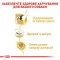 Сухий корм Royal Canin FRENCH BULLDOG ADULT для дорослих собак породи Французький бульдог 3 кг — Фото 8