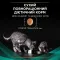Сухий дієтичний корм PRO PLAN VETERINARY DIETS EN Gastrointestinal для кошенят та дорослих котів для зменшення розладів кишкової абсорбції та годівлі у період відновлення, одужання 1,5 кг — Фото 18