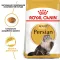 Сухий корм Royal Canin PERSIAN ADULT для персидських котів 2 кг — Фото 7