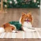 Борцівка Kale ТМ Pet Fashion для собак M зелена — Фото 7