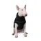 Жилет Pet Fashion «Big Boss» для собак, розмір 2XL, чорний — Фото 6